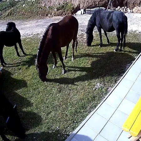 Deja Διαμέρισμα